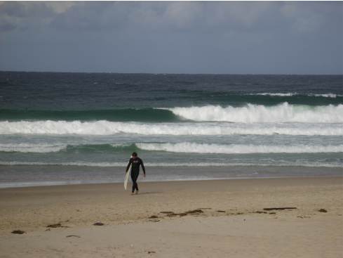 Man and Board